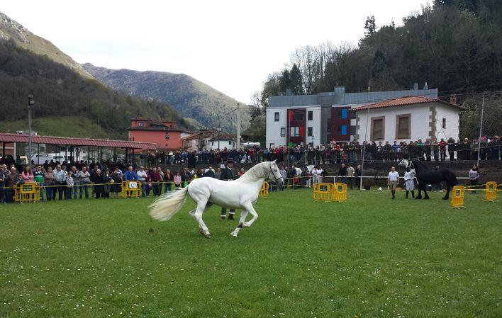Etapa 18: Dolia - Belmonte/Balmonte foto 4