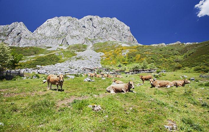 Aller à Image Étape 11 : Beyo - Santibanes de Murias