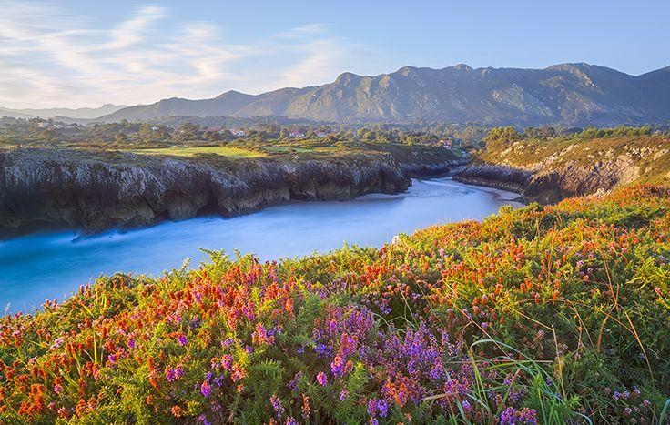 Ir para Imagem Una agenda amena y muy variada para el comienzo de la primavera