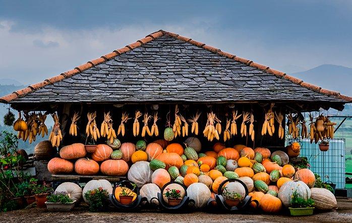 Go to Image El otoño, una época ideal para disfrutar de la cultura y las tradiciones