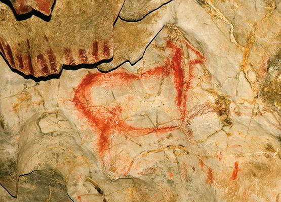 Foto ravvicinata di Cerva, pittura rupestre nel pannello principale della grotta di El Pindal nel comune di Ribadedeva