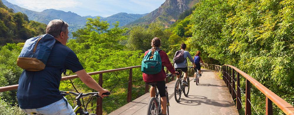 Bild Fahrradtourismus