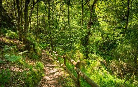 Sentiero verde San Martín de Oscos: PR243