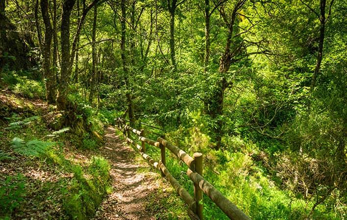 Senda Verde San Martín de Oscos foto 2