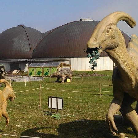 Museo del Jurásico de Asturias (MUJA)