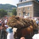Imagen Día de los Pueblos de Asturias en Navelgas. Tineo