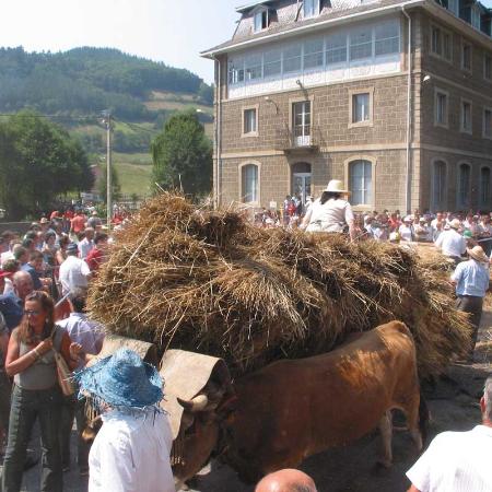 Journée des villages des Asturies à Navelgas. Tineo