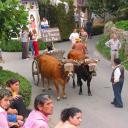 Imagen Desfile de carrozas de Valdesoto. Siero
