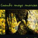 Imagen Cuando Mayo Marcea. Teatro en Somiedo