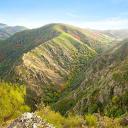 Imagen Ecoturismo Fundación Oso Pardo (primera parte)