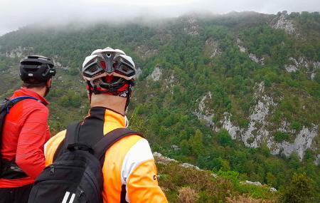 El Camín. Rutas en bici guiadas