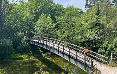 El Camín. Rutas en bici guiadas