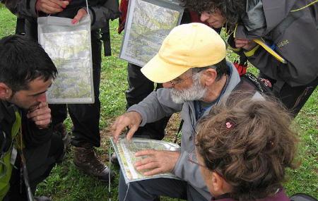 Curso de orientación