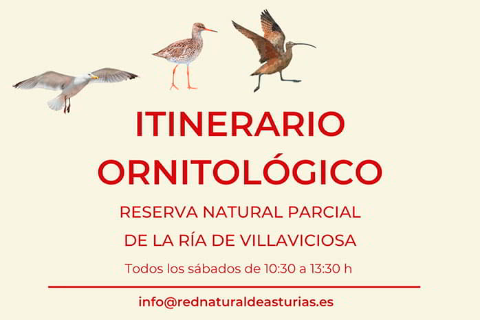Imagen de los Itinerarios ornitológicos