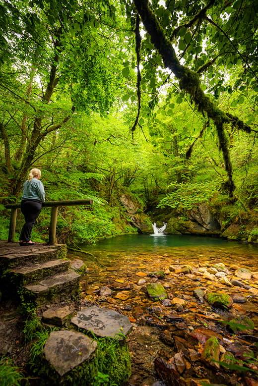 Immagine di La Pesanca (Piloña)