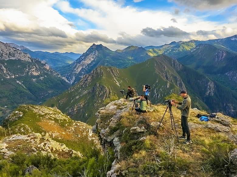 Immagine di avvistamento della fauna selvatica (Proaza)