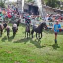 Imagen Fiesta del Asturcón en Piloña