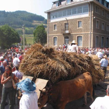 Dia-de-los-pueblos-de-Asturias-Navelgas-FIT