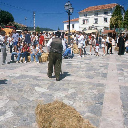XXIV Mercáu Vaqueiru en San Martín de Luiña. Cudillero