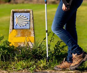 Bild RSS Camino de Santiago