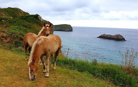 Falésias na praia de Poo