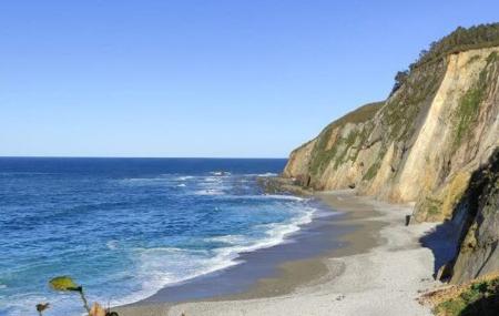 Plage de Quintana / Plumineru