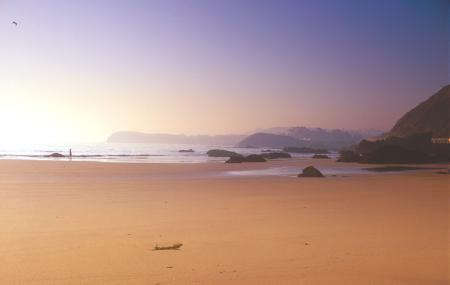 Plage de La Palmera