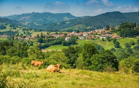 Ceceda/Cecea em Nava