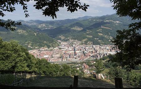 Mieres del Camín, capital of the council of Mieres