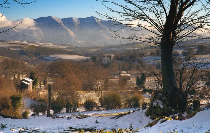 Winter image of the valleys of Tineo. A large leafless tree with snow at its feet, snowy meadows, with brown-leaved trees and some houses with white roofs. In the background a range of mountains with snow-dusted peaks. Although there is a blue sky, a light mist is blowing across the picture, giving a cold feeling.