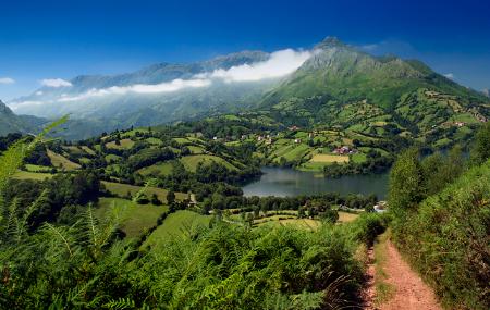 Il lago artificiale di Los Alfilorios in primavera