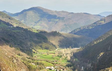 Selviella - Belmonte de Miranda