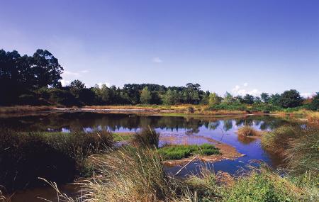 Zeluán-Teich und Llodero-Bucht