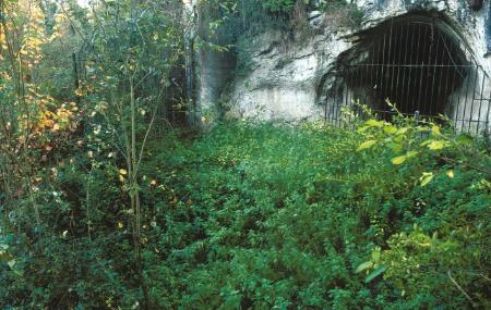 Grotte de Las Caldas