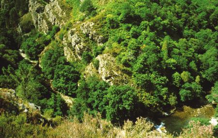 Gorges de l'Esva