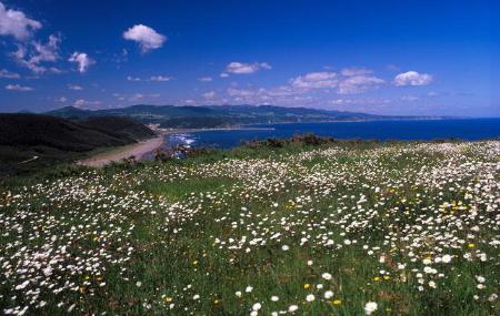 Île de La Deva et Playón de Bayas