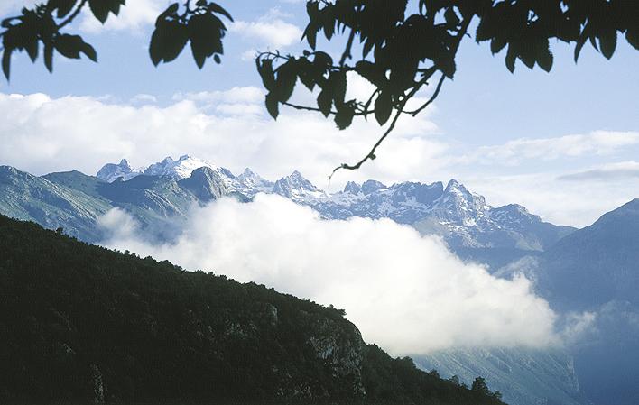 Aller à Image Système Trave