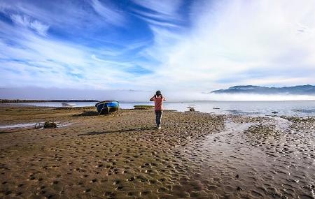 Estuario di Villaviciosa