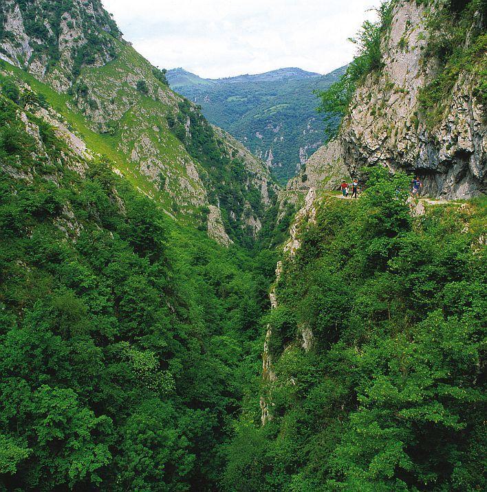 Go to Image Las Xanas Gorge