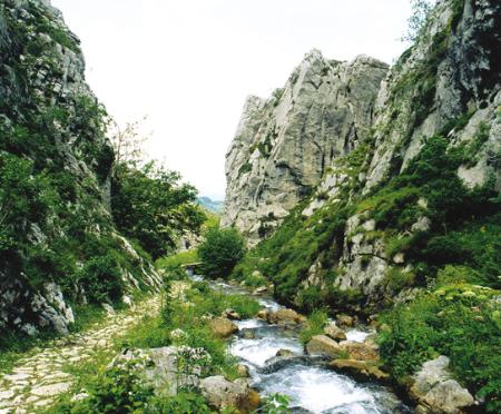 Foces de El Pino