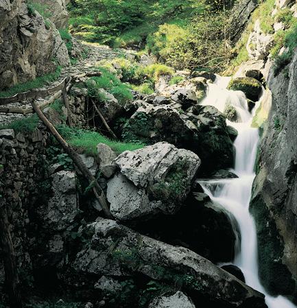 Focolai di El Pino