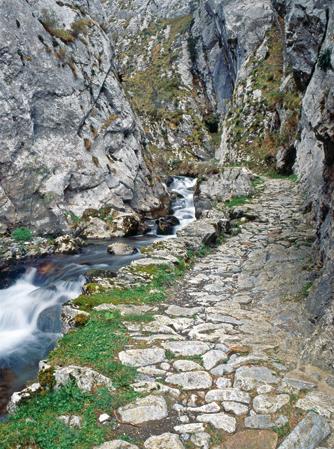 Foces de El Pino