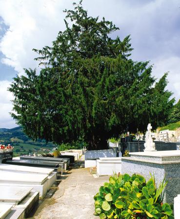 Aller à Image If de Salas