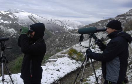 Rutas mediambientales Natur