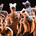 Imagen Alice. Teatro en Gijón