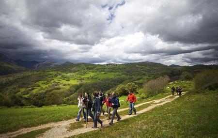 Ruta'l Quesu y la Sidra