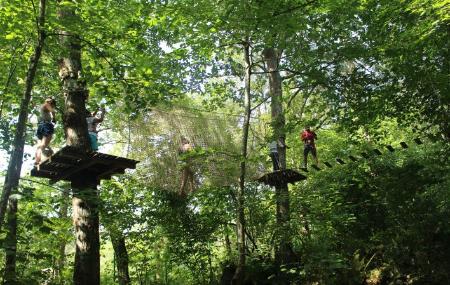 Imagen Selva Asturiana: Aventura en Llanes