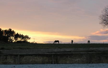 Hípica la Granda ruta a caballo