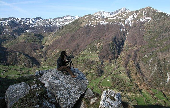 Ir para Imagem Wildwatching Spain