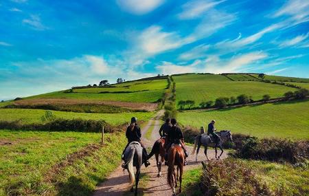 Marcha en caballo